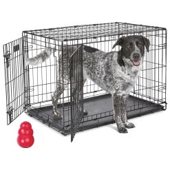 MidWest ICrate Fold & Carry Double Door Collapsible Wire Dog Crate & KONG Classic Dog Toy