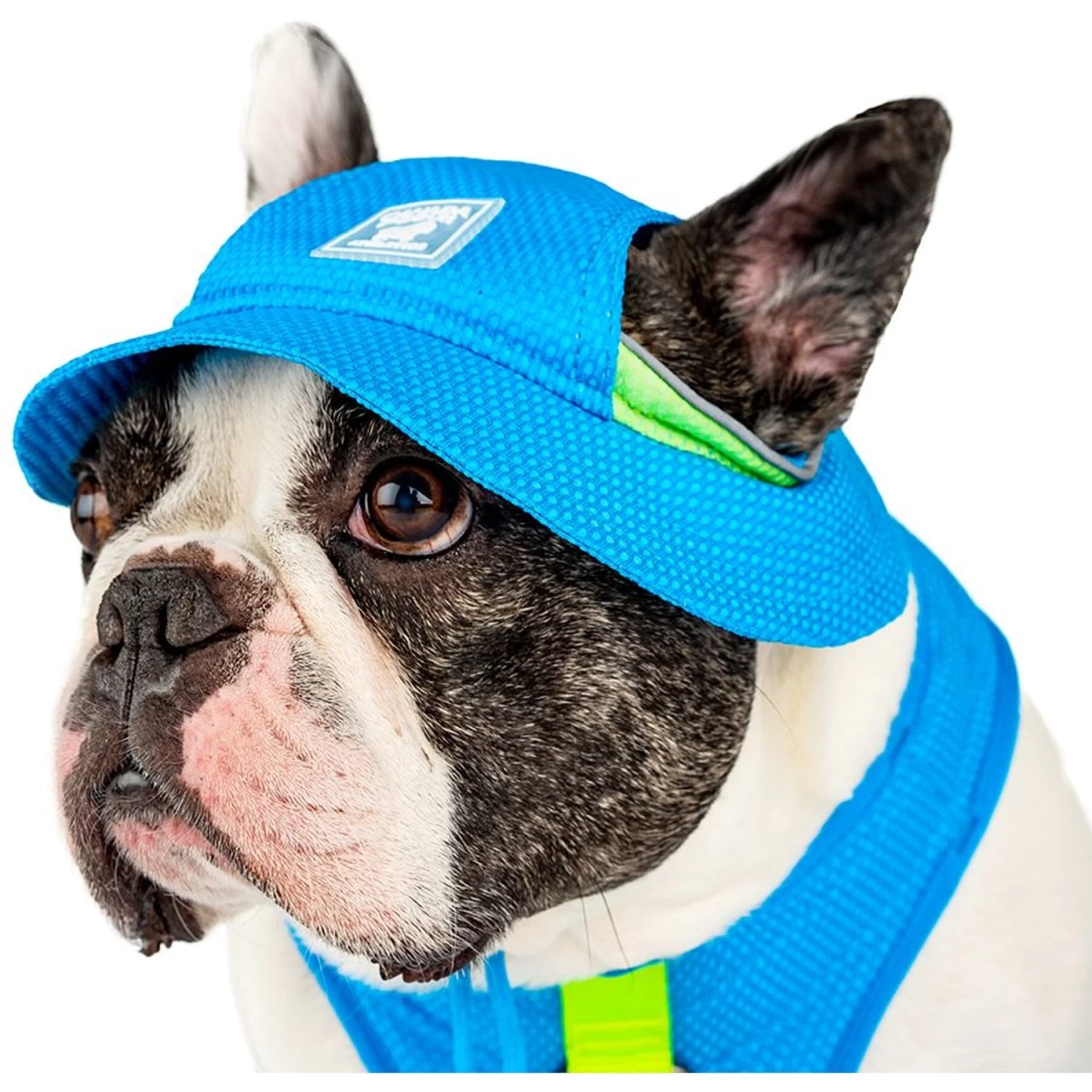 Canada Pooch Chill Seeker Cooling Dog Hat - Image 2