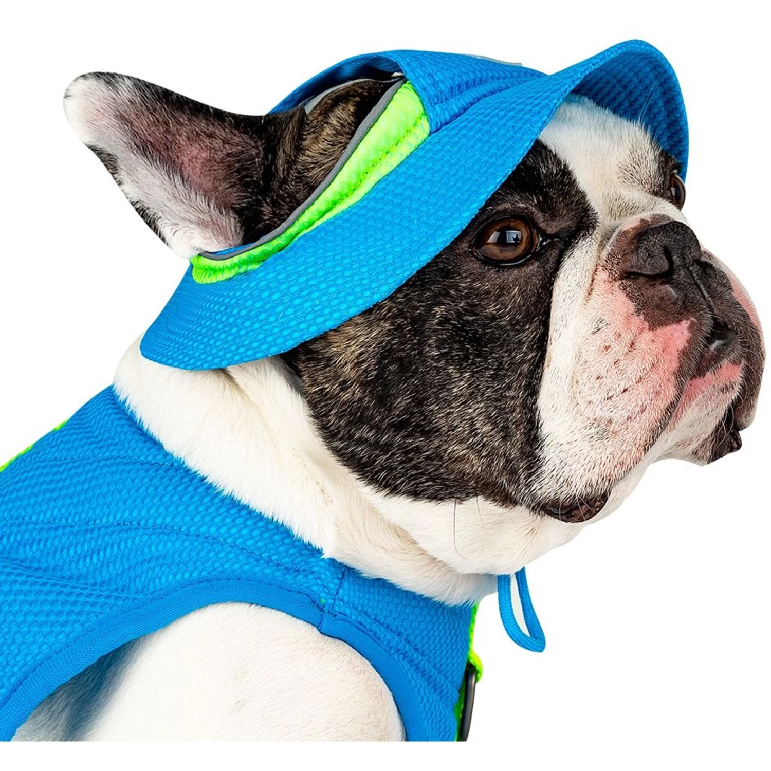 Canada Pooch Chill Seeker Cooling Dog Hat - Image 3