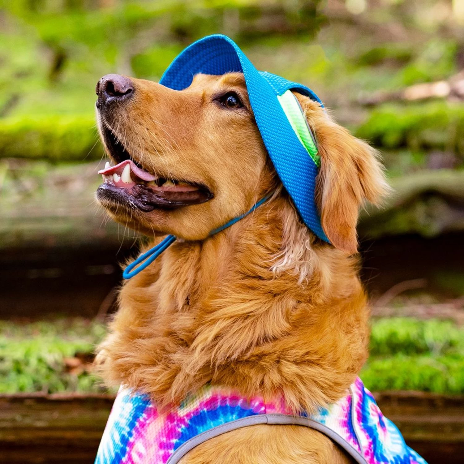Canada Pooch Chill Seeker Cooling Dog Hat - Image 4