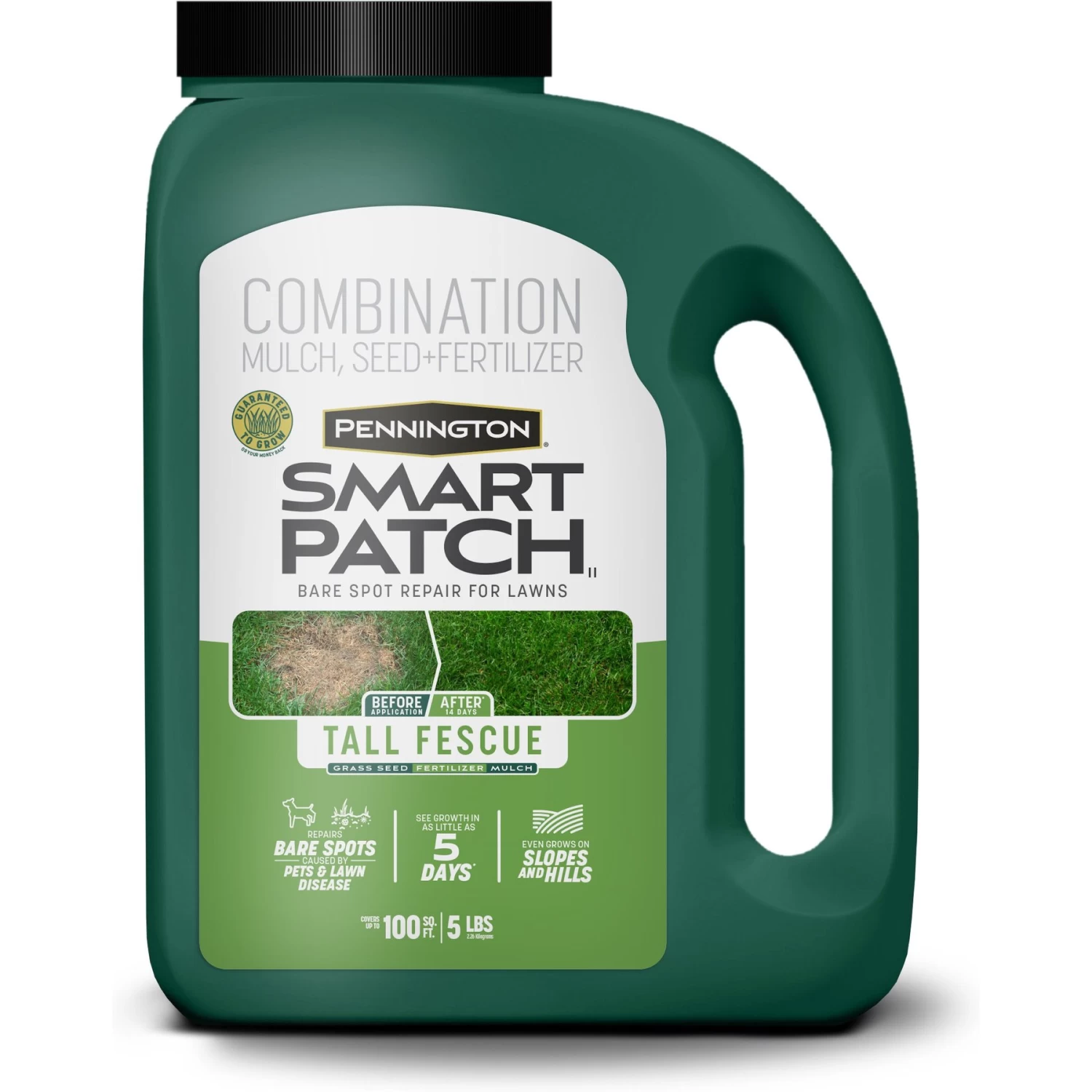 Pennington Smart Patch Tall Fescue Mix Dog Lawn-Treatment & Grass Saver
