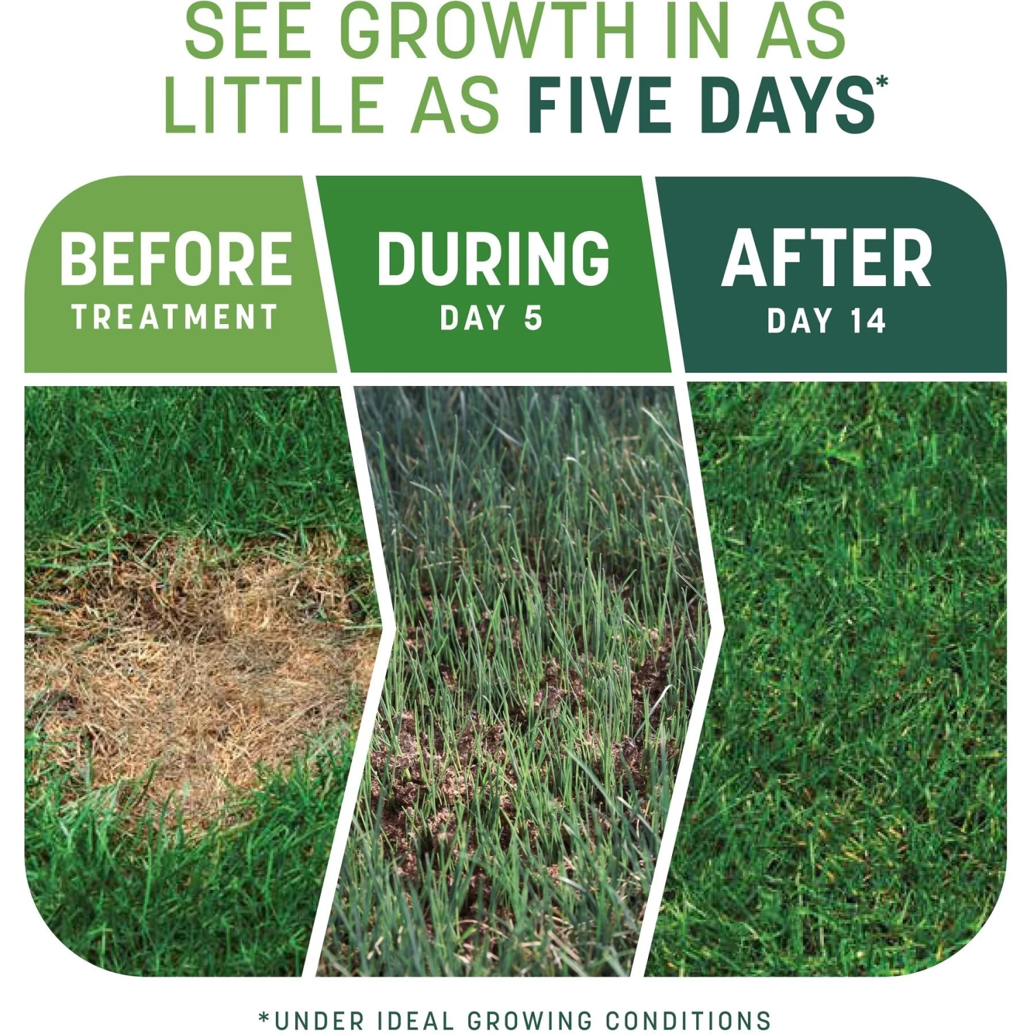 Pennington Smart Patch Tall Fescue Mix Dog Lawn-Treatment & Grass Saver - Image 3