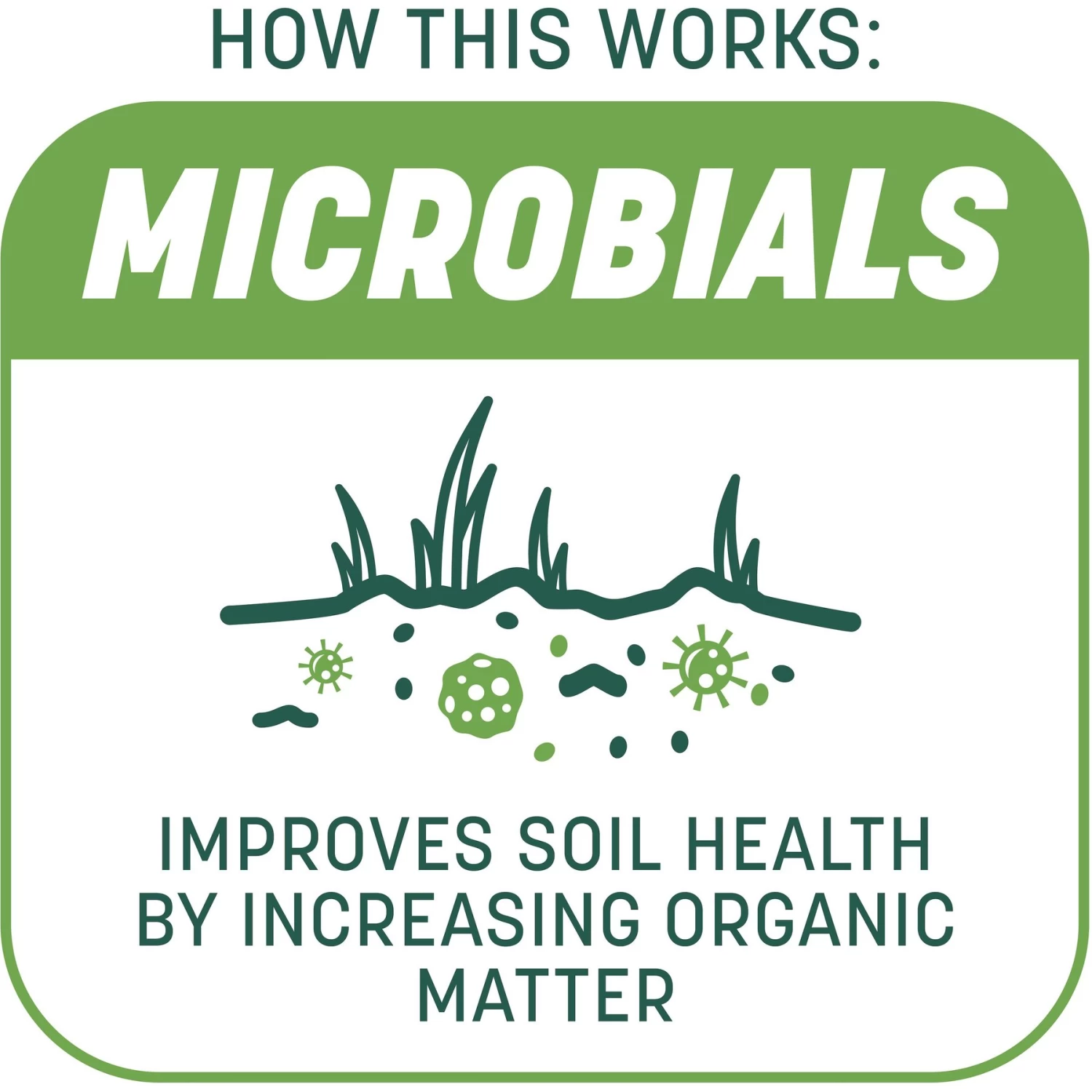 Pennington Smart Patch Tall Fescue Mix Dog Lawn-Treatment & Grass Saver - Image 4