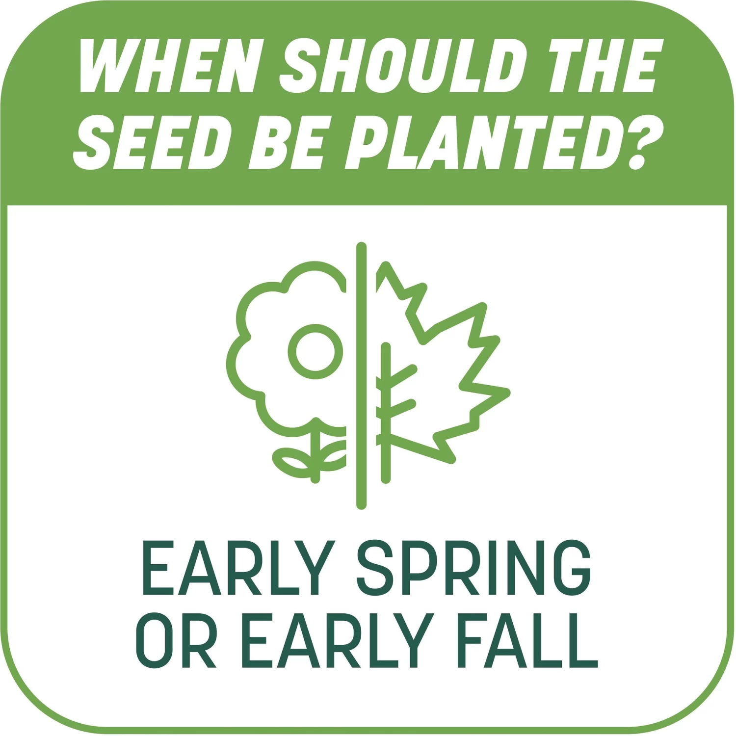 Pennington Smart Patch Tall Fescue Mix Dog Lawn-Treatment & Grass Saver - Image 8