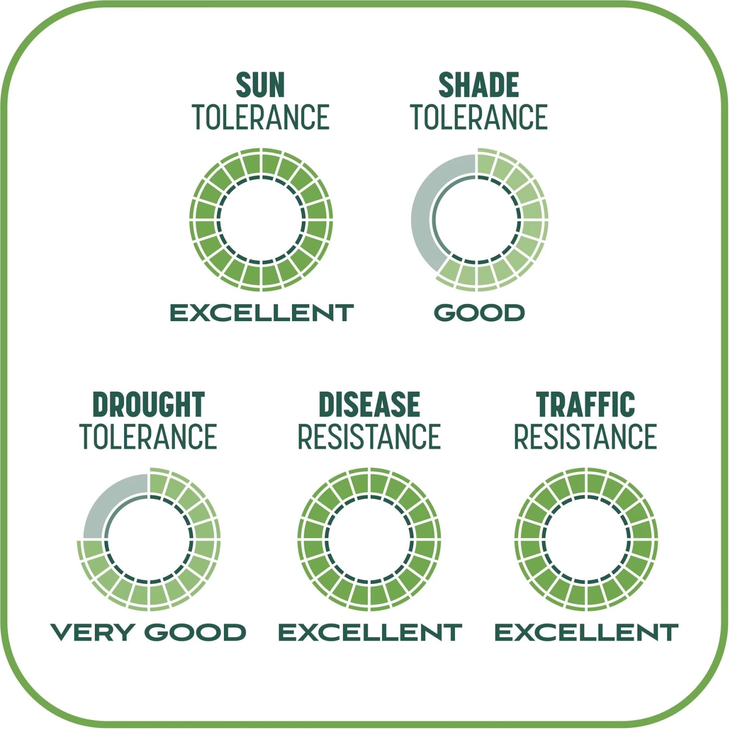 Pennington Smart Patch Tall Fescue Mix Dog Lawn-Treatment & Grass Saver - Image 9