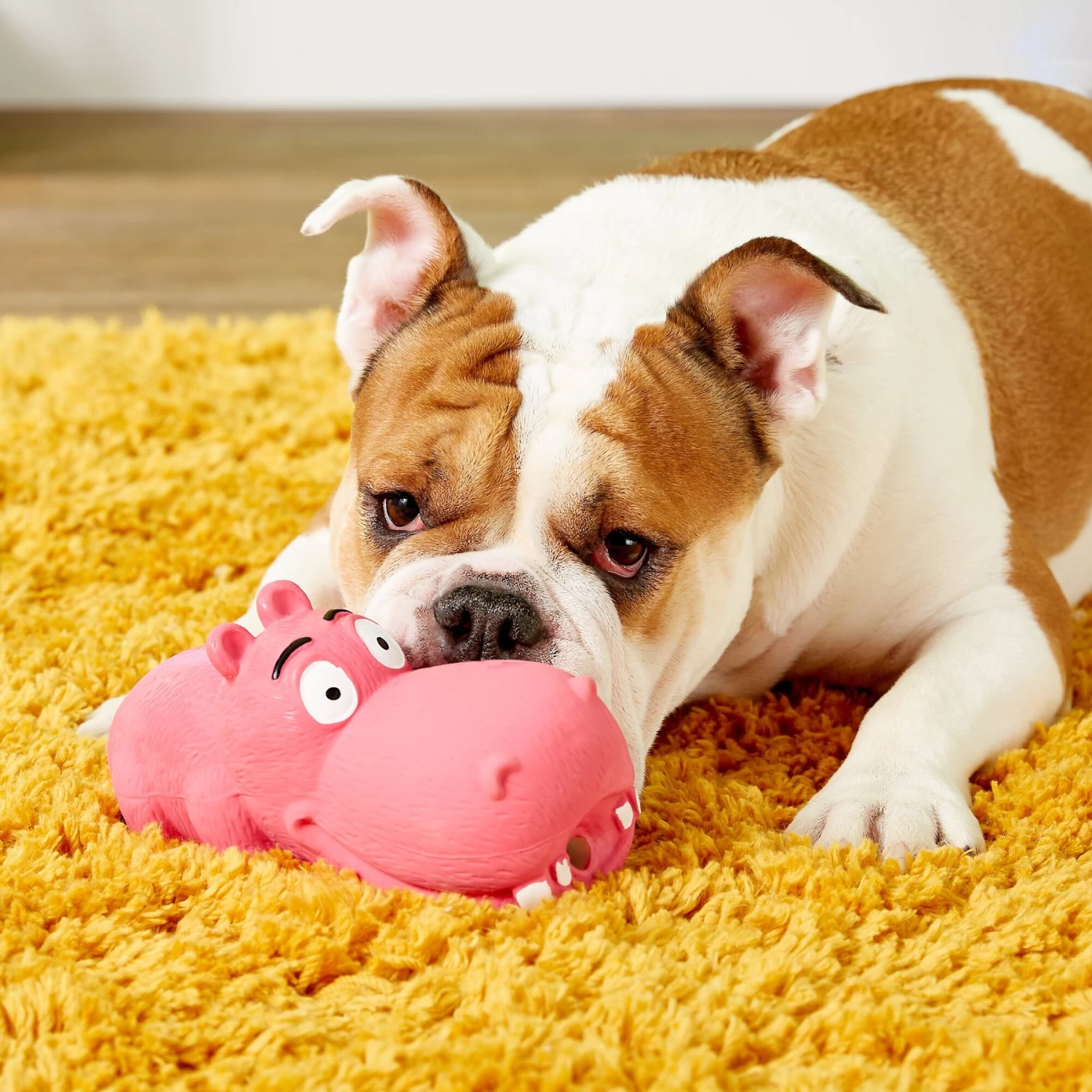 Multipet Latex Hippo Squeaky Dog Toy, Color Varies - Image 5