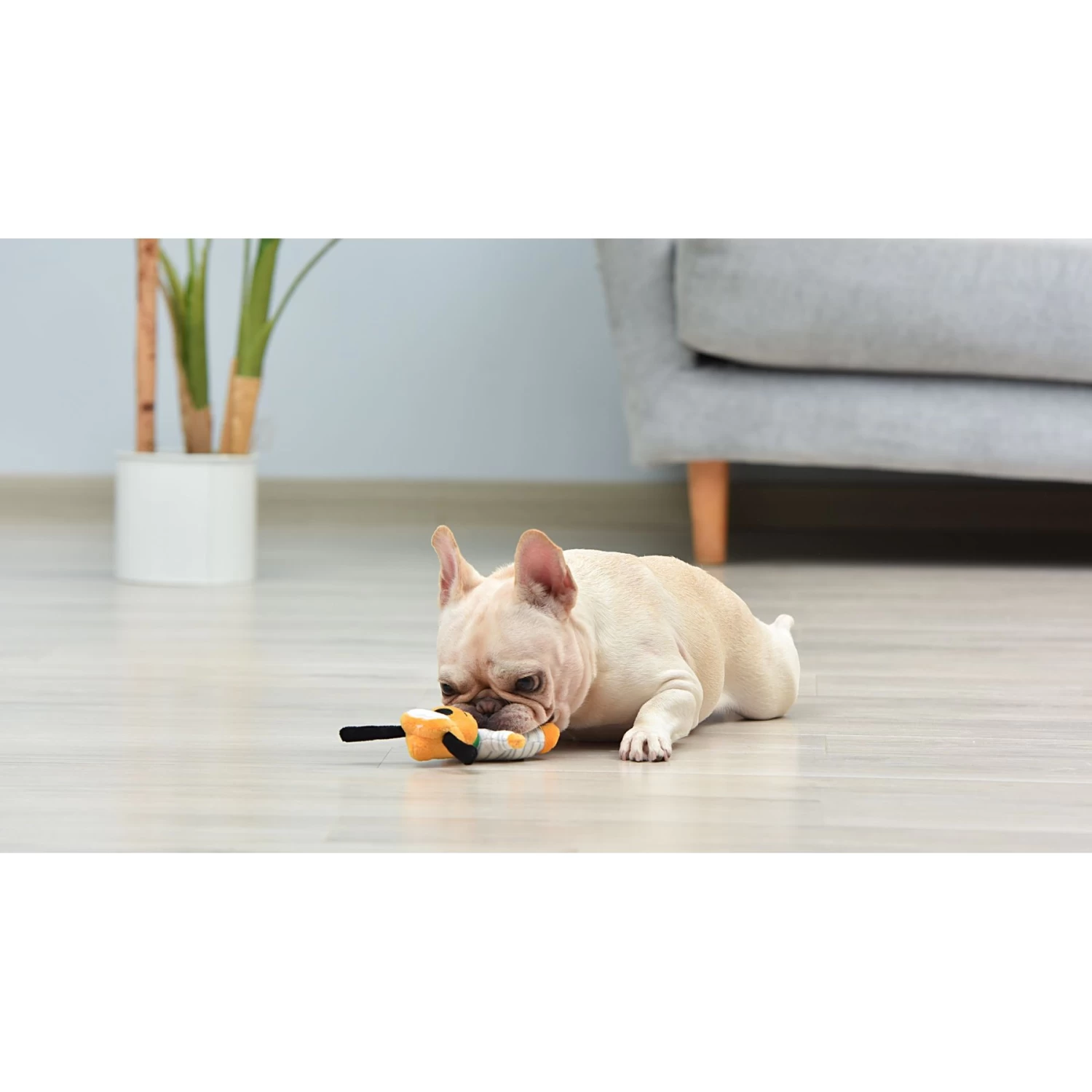 Fetch For Pets Mickey & Friends Halloween Pluto Dog Plush Toy, 6-in - Image 4