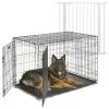 MidWest ICrate Fold & Carry Double Door Collapsible Wire Dog Crate & MidWest Steel Pet Gate