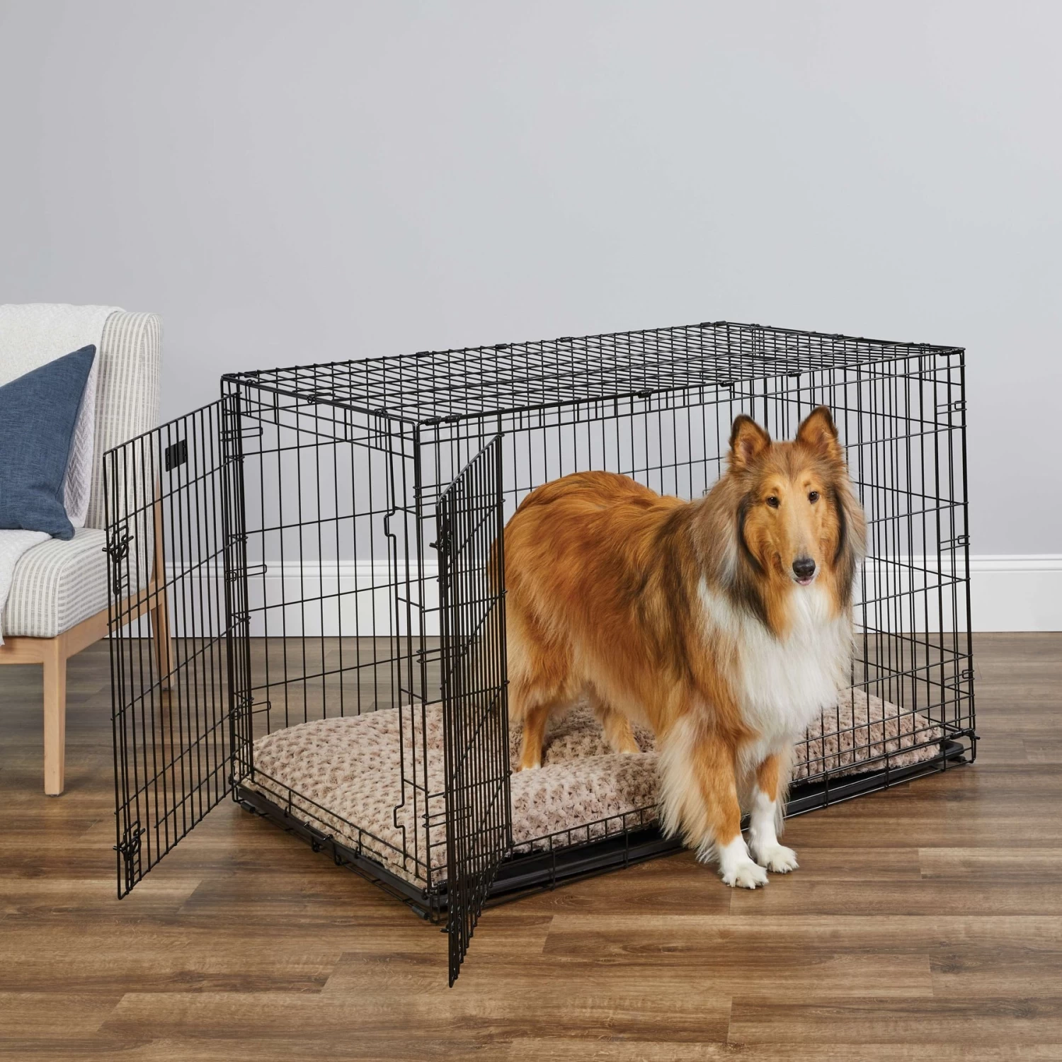 MidWest ICrate Fold & Carry Double Door Collapsible Wire Dog Crate & MidWest Steel Pet Gate - Image 3