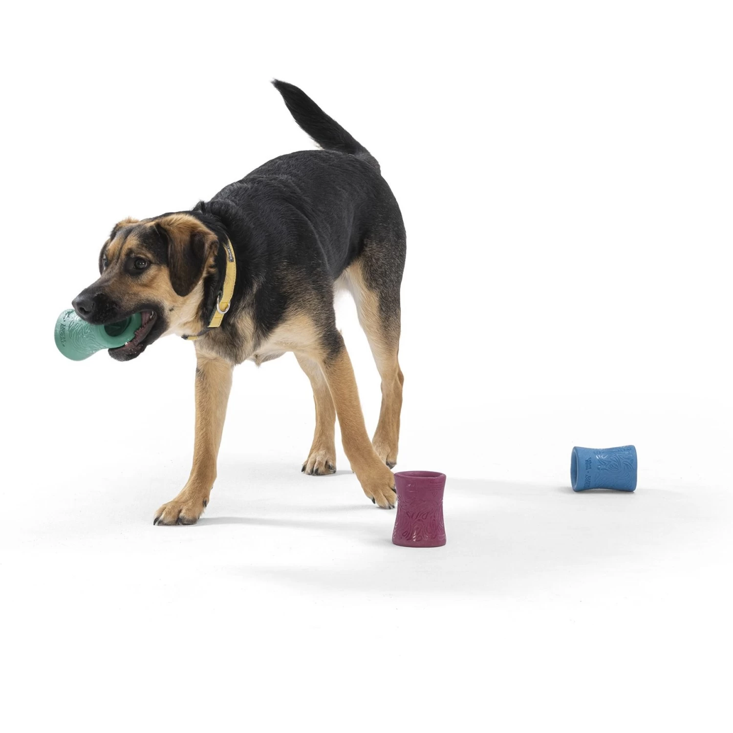 West Paw Funnl Dog Toy, Large, 4.25-in - Image 7