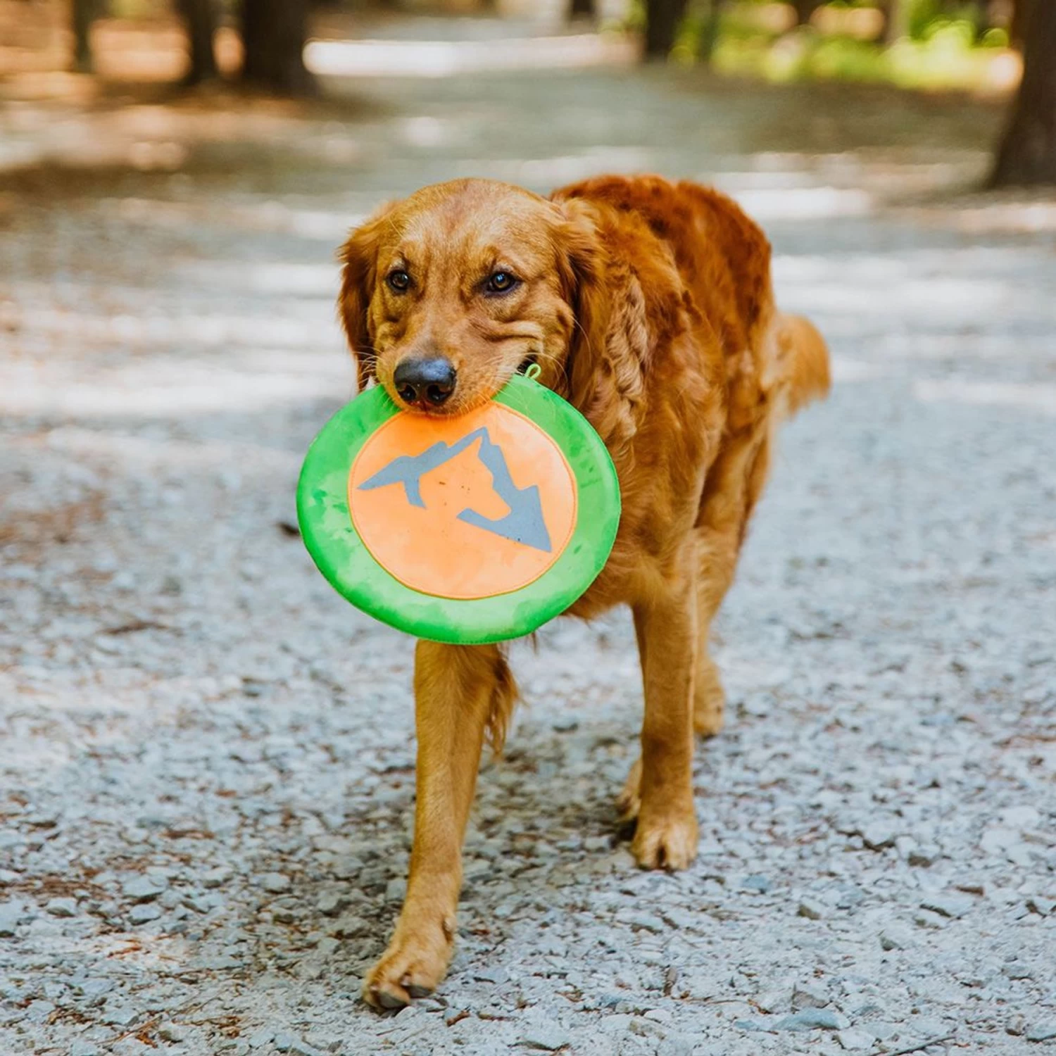 Hound2O Reflective Flyer Dog Toy - Image 3