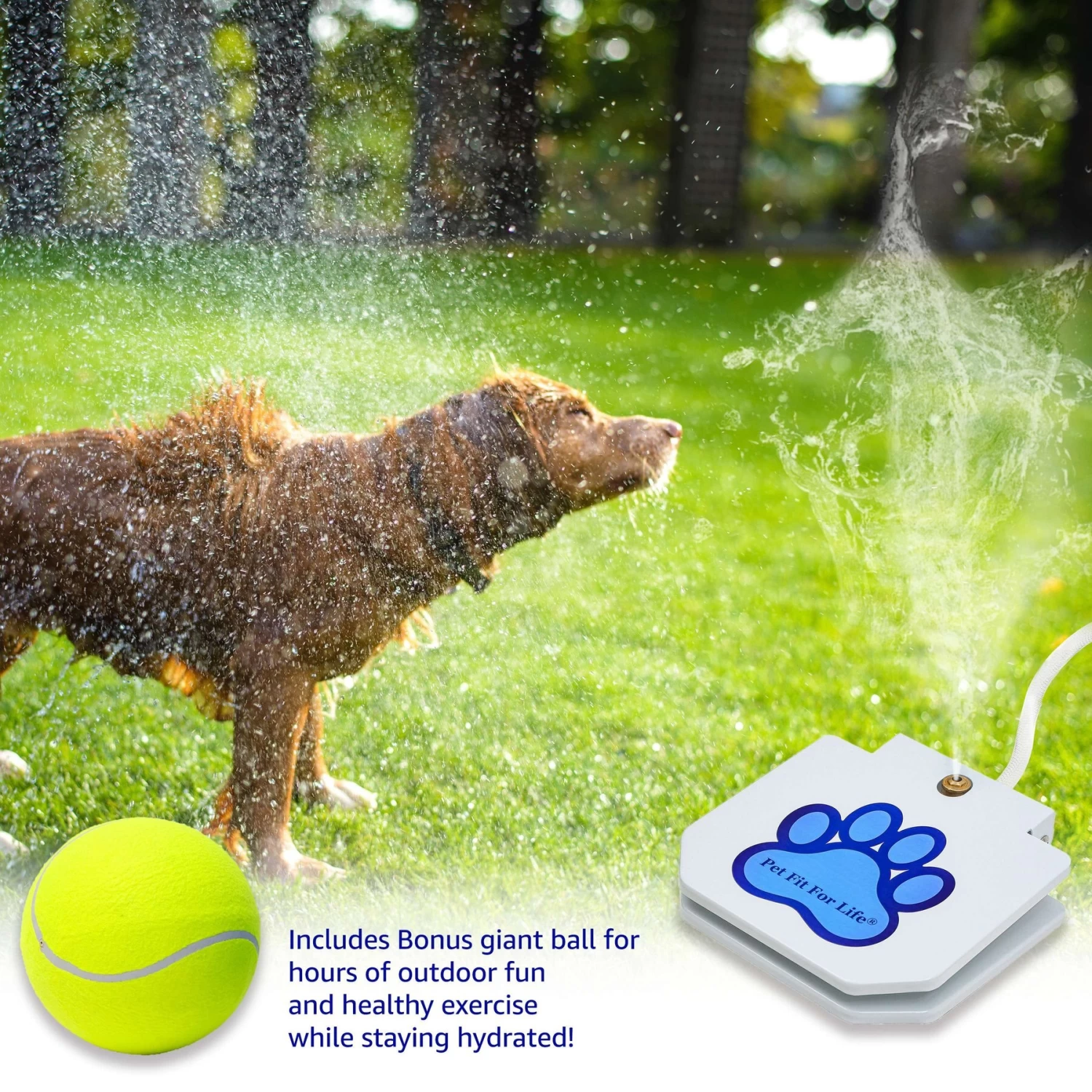 Pet Fit For Life Dog Step-on Sprinkler Dog Toy, Silver - Image 3