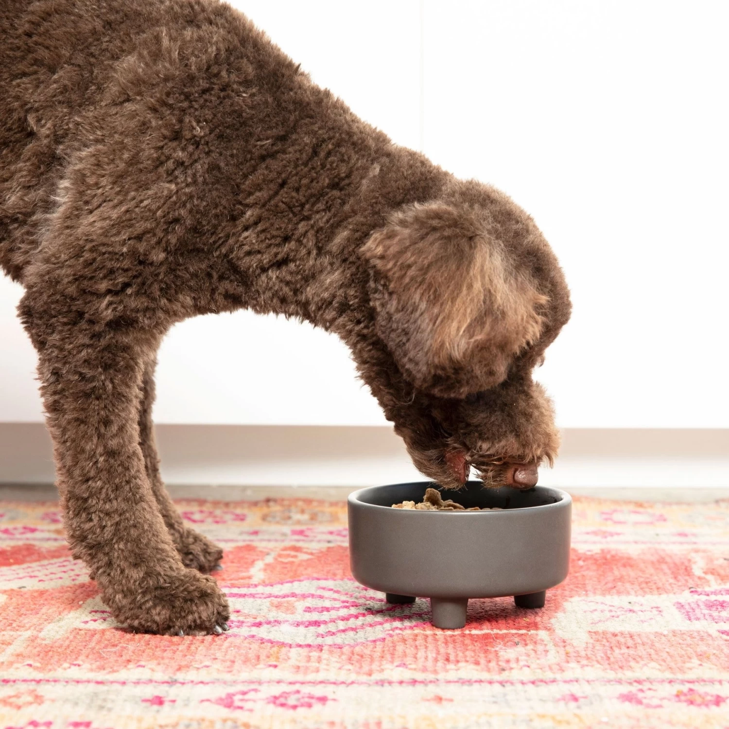 Waggo Uplift Elevated Ceramic Cat & Dog Bowl - Image 3