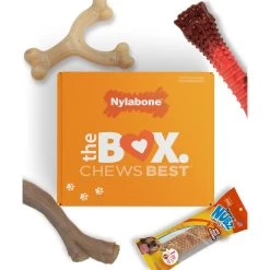 Nylabone The Box Chew Toy & Treat Gift Box For Large Dogs