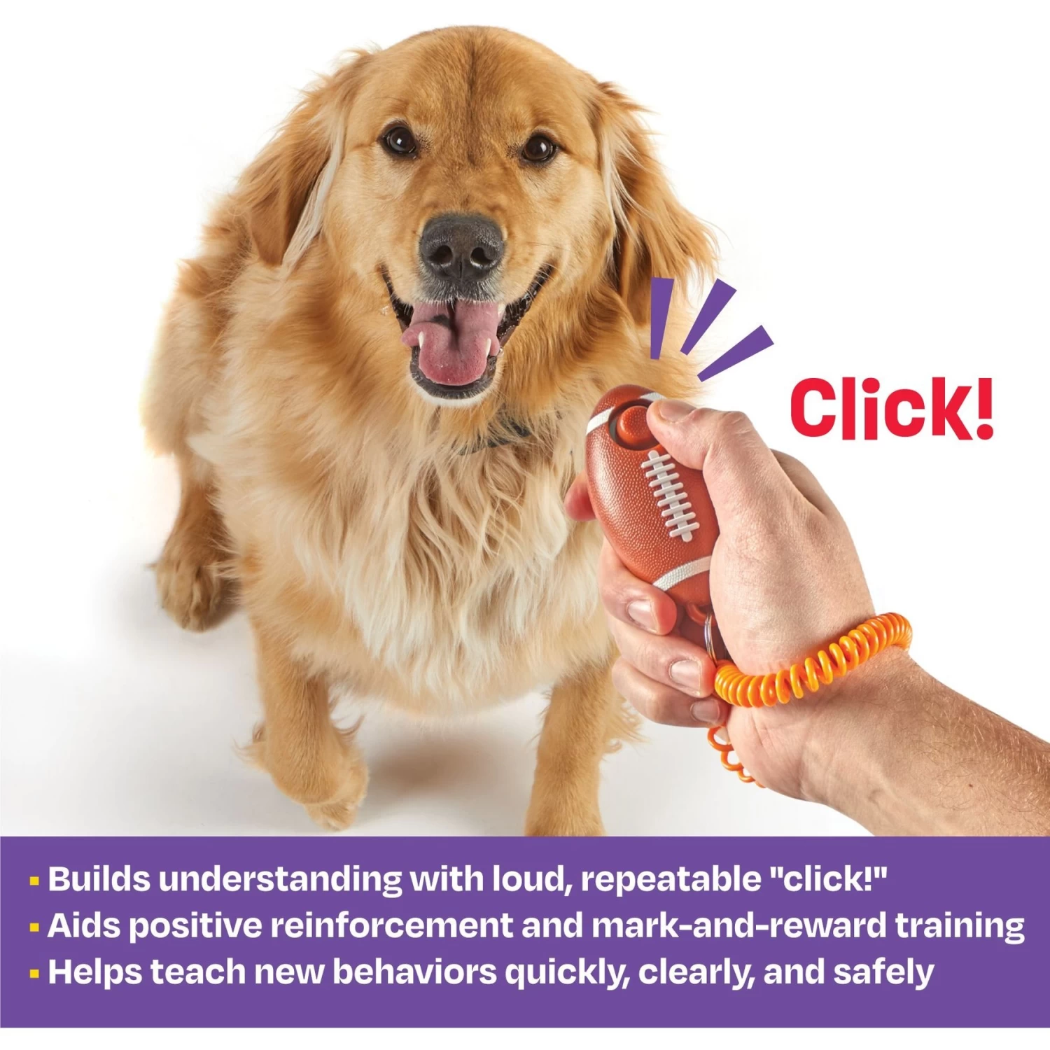 Brightkins Smarty Pooch! Training Clicker Football Dog Toy - Image 2