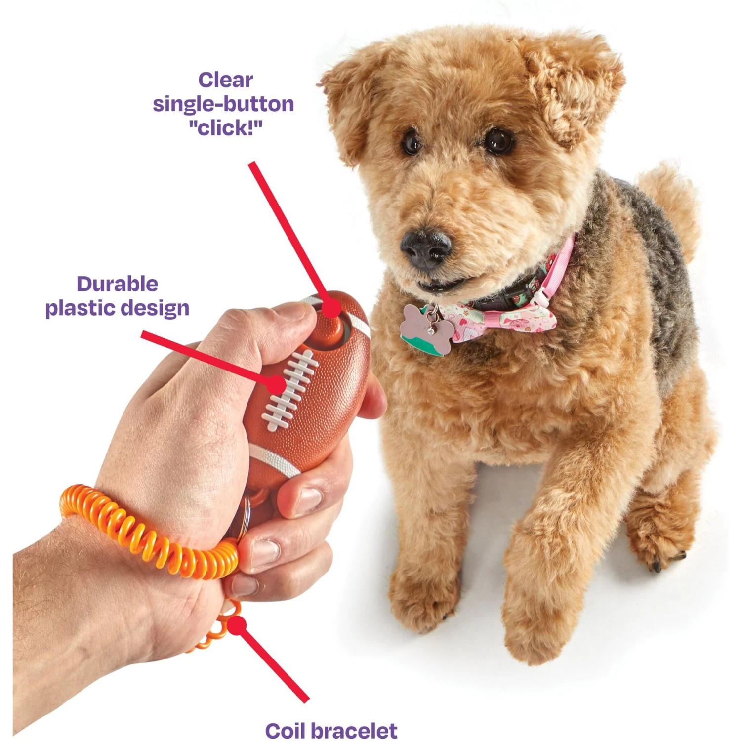Brightkins Smarty Pooch! Training Clicker Football Dog Toy - Image 4