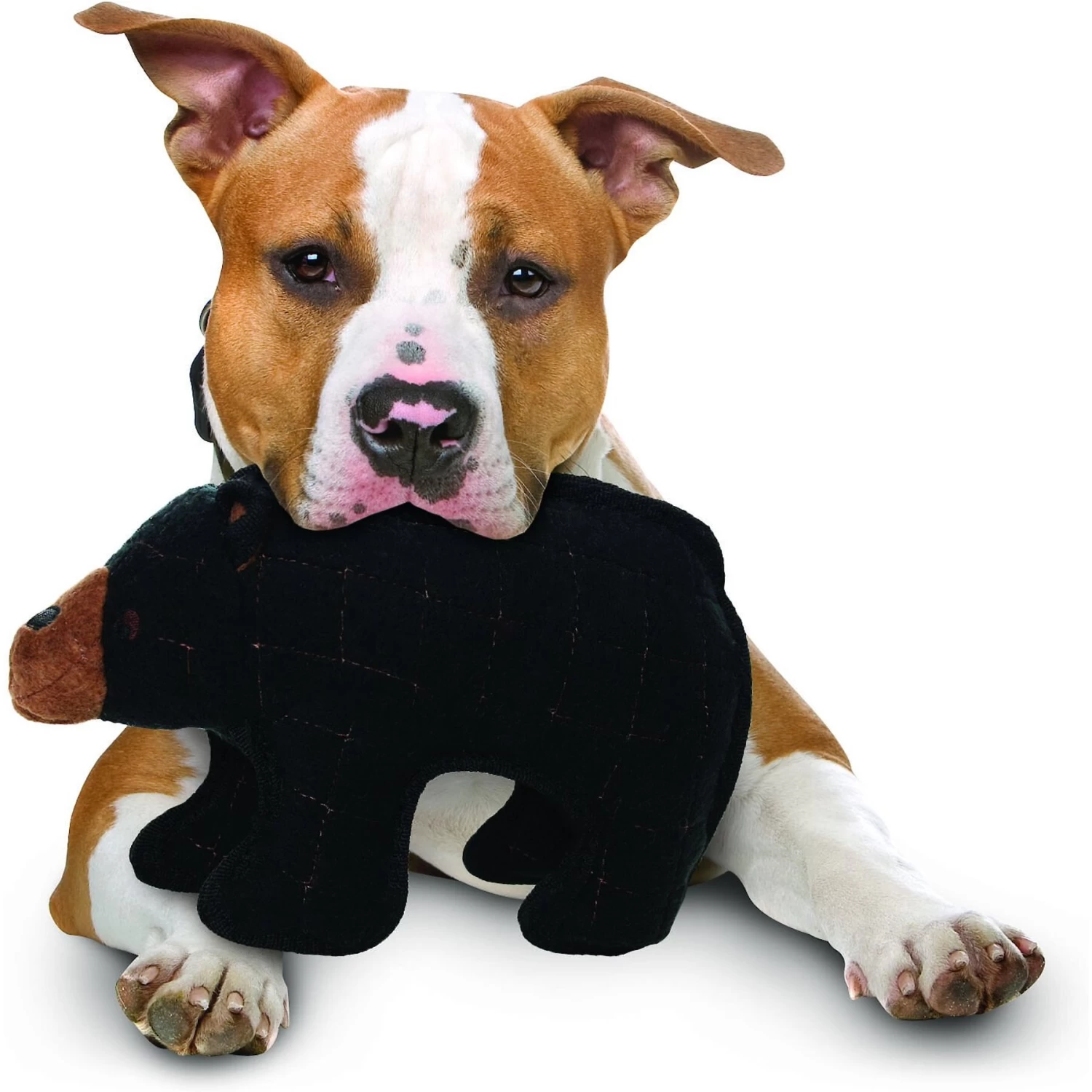 Tuffy's Zoo Bear Plush Dog Toy - Image 3